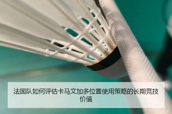 法国队如何评估卡马文加多位置使用策略的长期竞技价值